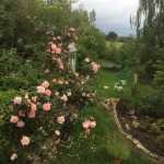 How gardening fills my life with hope. And secret garden conversations with God